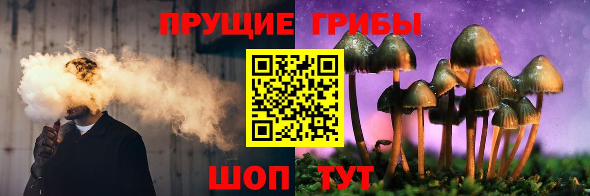 Псилоцибиновые грибы ЛСД Кохма